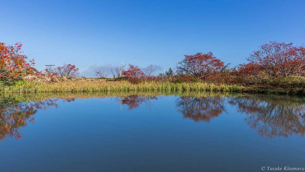 「秋景色」Autumn scenery