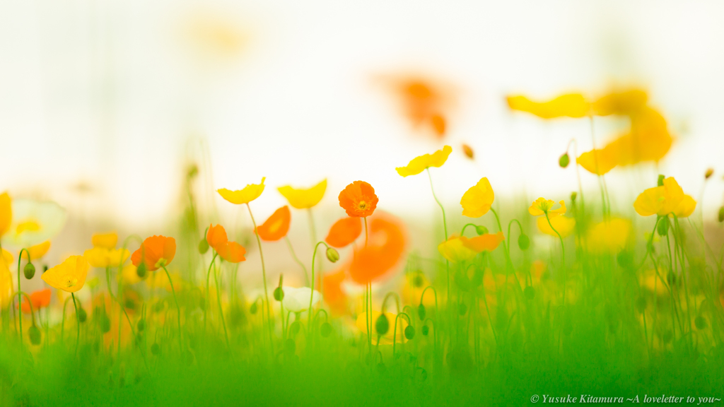 Spring tones