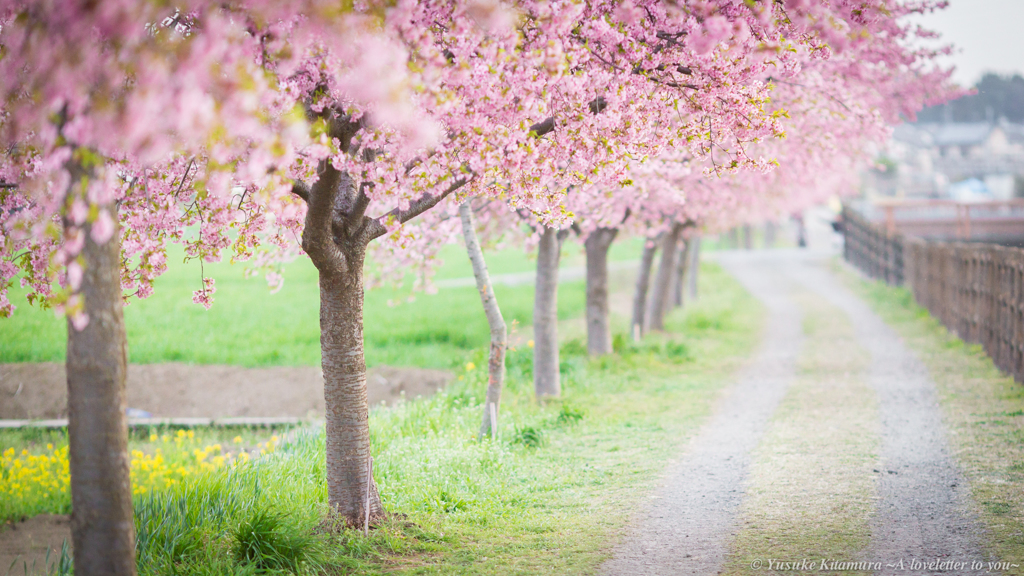 Spring path