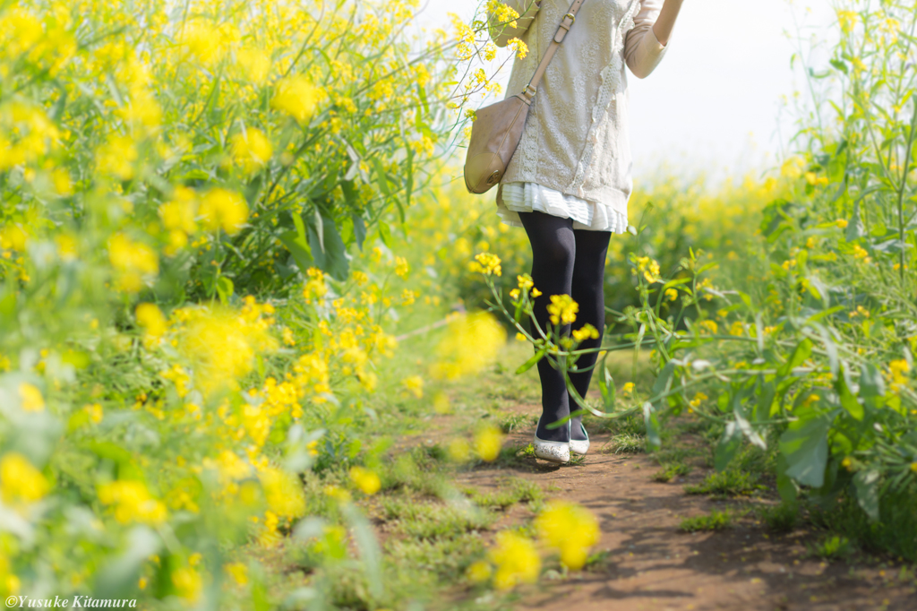 Springtime