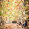 Autumn path