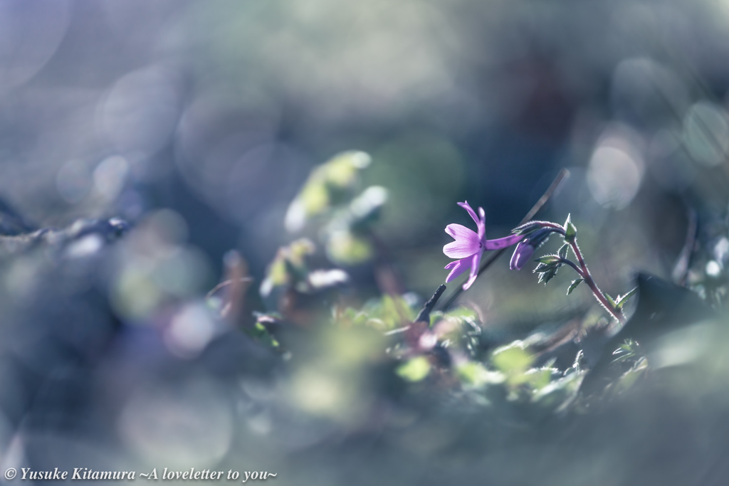 A fragile thing