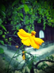 GRD_R0015473