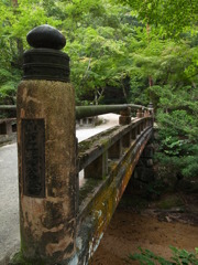 紅葉谷の緑