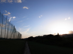 夕暮れ時
