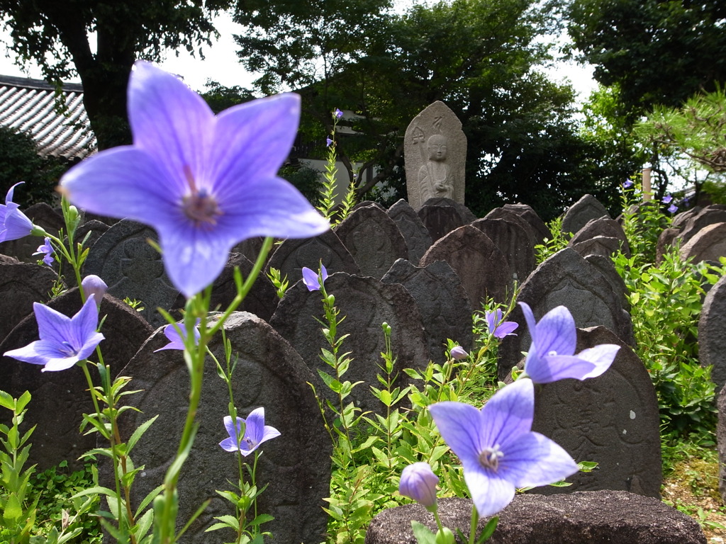 古寺の石仏