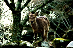 遭遇