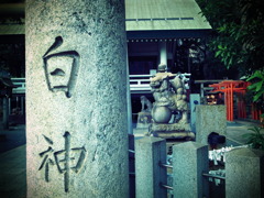 GRD_R0015484