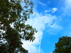 秋の空