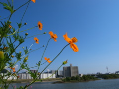 R0014361