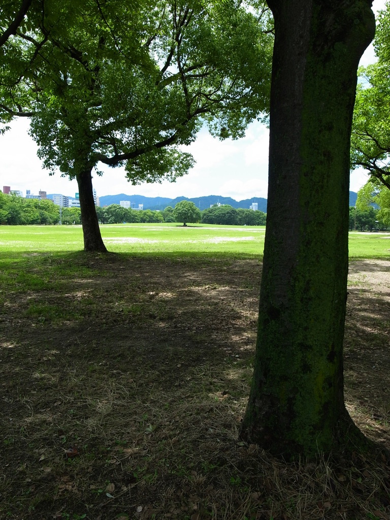R0016720