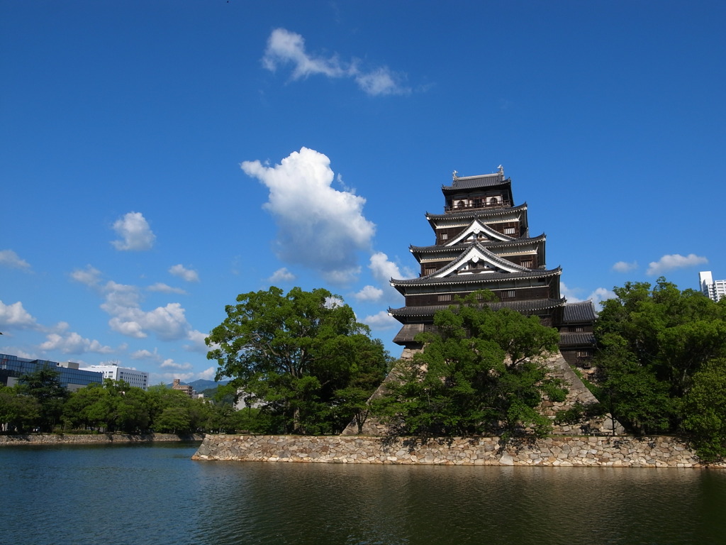 鯉城