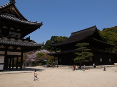 お寺の境内