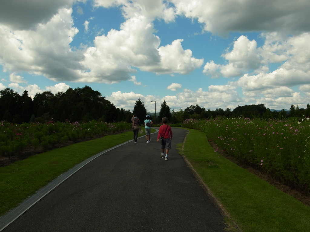 GRD_R0015302