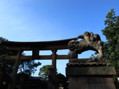 こまいぬ