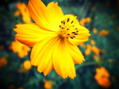 GRD_R0015467
