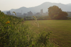 夕凪