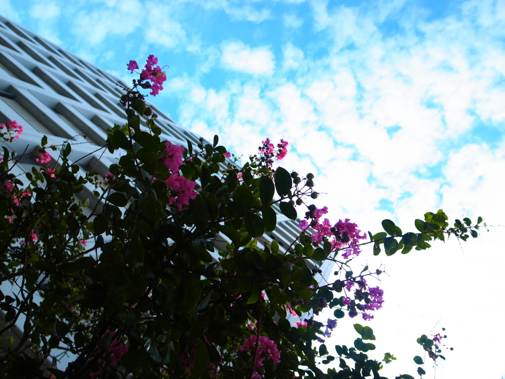 GRD_R0015588