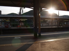 P7313428