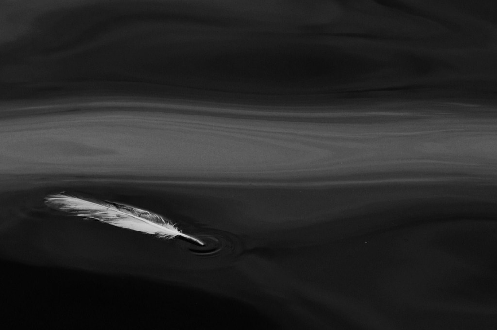 DSC_0026
