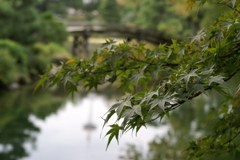 DSC06919