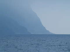 P7303405