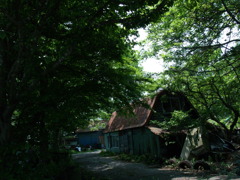 P6193293