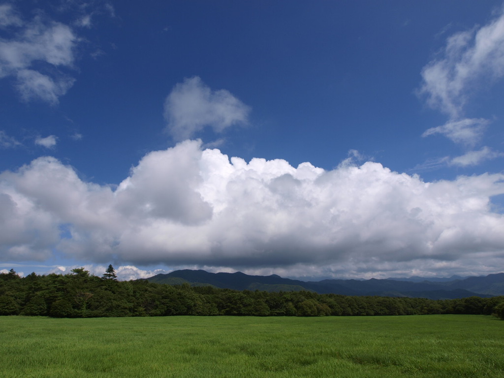 清里高原