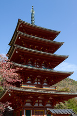 長谷寺６