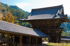 長谷寺１０