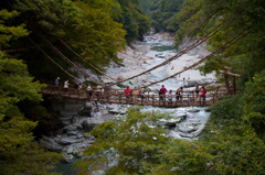 祖谷のかずら橋