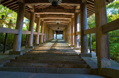 長谷寺１