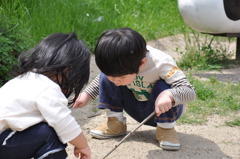 ありんこさん、おりゃおりゃ！