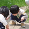 ありんこさん、おりゃおりゃ！