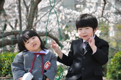 サクラの木の下で