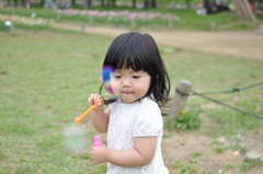 ハルノヒ