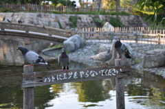 せつないですわ