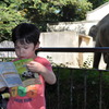 つぎは。。。