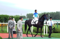 アドマイヤトライ号