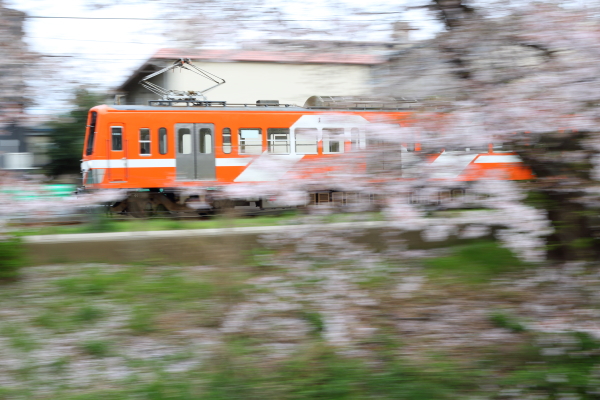 7T3A3381