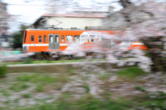7T3A3381