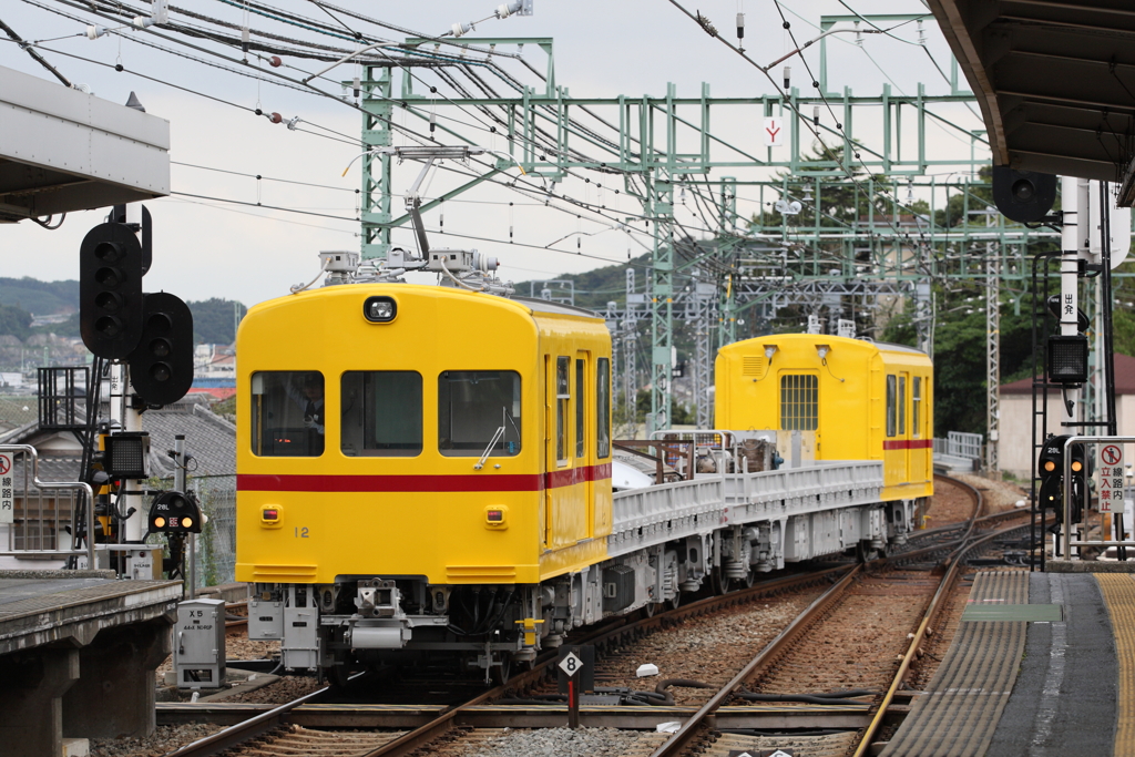 7F1Y6398