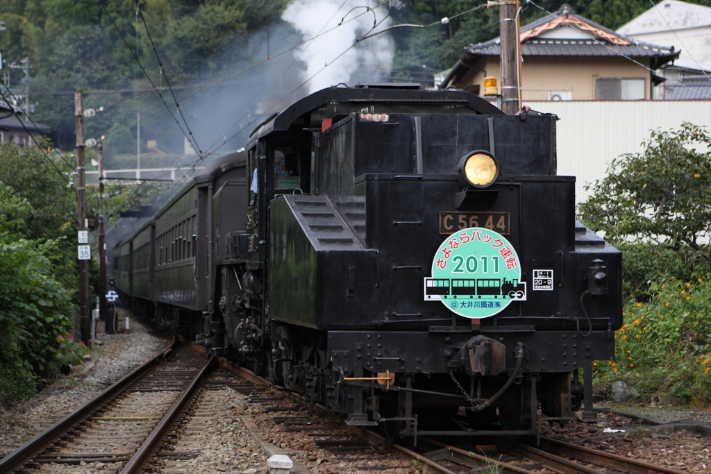 7F1Y7687