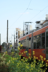 7F1Y9397
