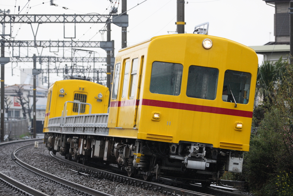 7F1Y8649