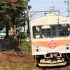 E1D30367
