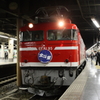 E1D31078