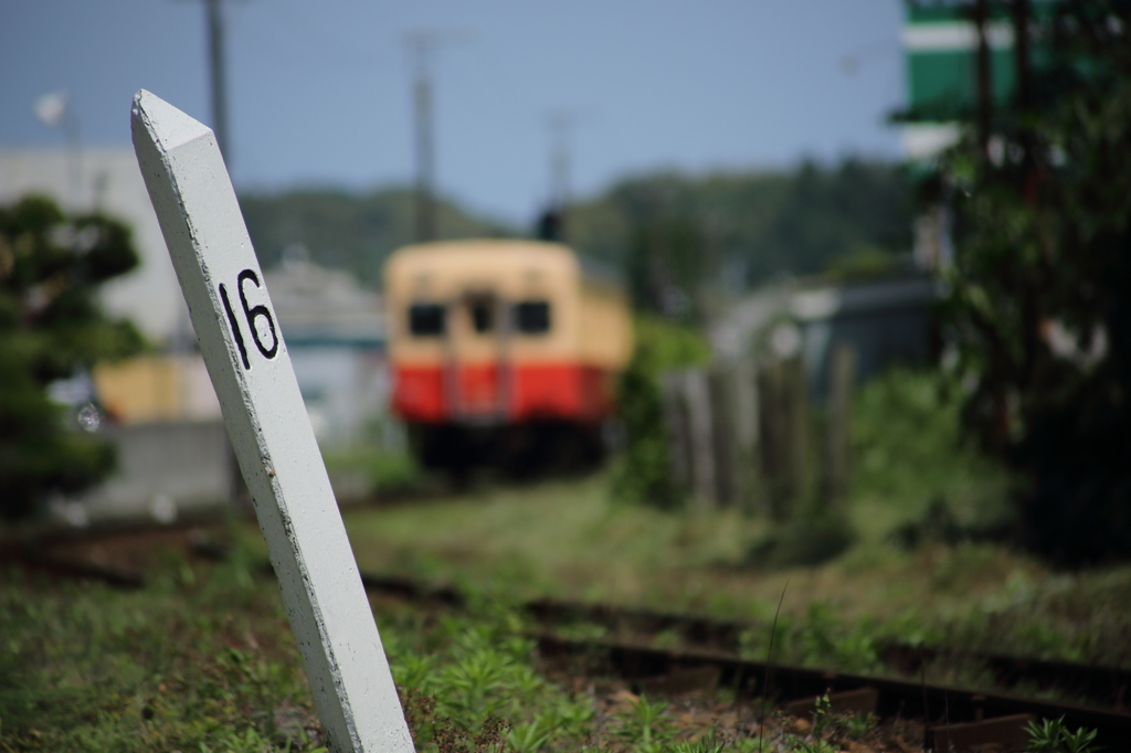 7T3A9251