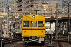 7F1Y8487