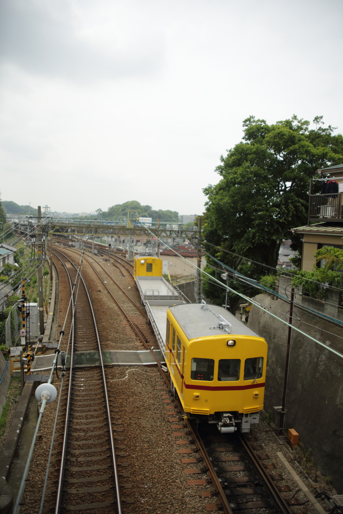 7T3A8643